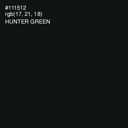 #111512 - Hunter Green Color Image